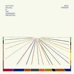 Image du média "INTO FOREVER de Matthew HALSALL & THE GONDWANA ORCHESTRA"