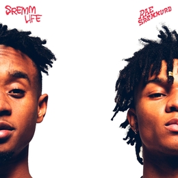 Image du média "SREMMLIFE de RAE SREMMURD"