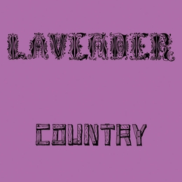 Image du média "LAVENDER COUNTRY de LAVENDER COUNTRY"