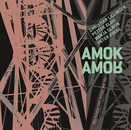 Image du média "WE KNOW NOT WHAT WE DO de AMOK AMOR"