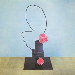 Image du média "OH INHUMAN SPECTACLE de METHYL ETHEL"