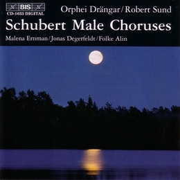 Image du média "CHOEURS D'HOMMES de Franz SCHUBERT"