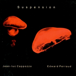 Image du média "SUSPENSION de Jean-Luc CAPPOZZO & EDWARD PERRAUD"