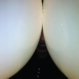 Image du média "BOTTOMLESS de DEATH GRIPS"