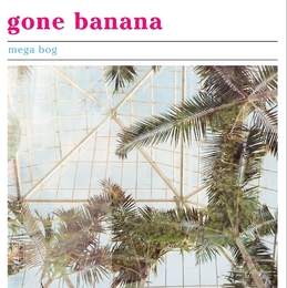 Image du média "GONE BANANA de MEGA BOG"