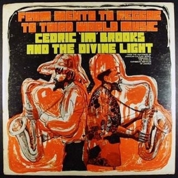 Image du média "FROM MENTO TO REGGAE TO THIRD WORLD MUSIC de Cedric Im BROOKS AND THE DIVINE LIGHT"