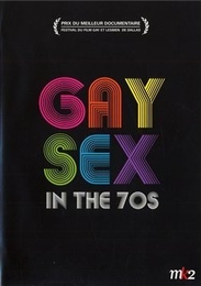 Image du média "GAY SEX IN THE 70's de Joseph LOVETT"