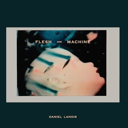 Image du média "FLESH AND MACHINE de Daniel LANOIS"