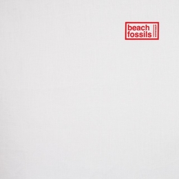 Image du média "SOMERSAULT de BEACH FOSSILS"