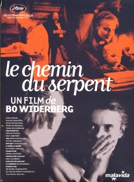 Image du média "LE CHEMIN DU SERPENT de Bo WIDERBERG"