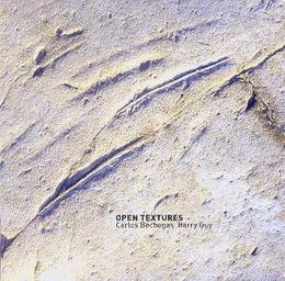 Image du média "OPEN TEXTURES de Carlos BECHEGAS & BARRY GUY"