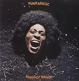 Image du média "MAGGOT BRAIN de FUNKADELIC"