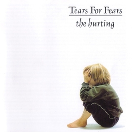 Image du média "THE HURTING (SUPER DELUXE) de TEARS FOR FEARS"