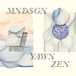 Image du média "YAWN ZEN de MNDSGN"