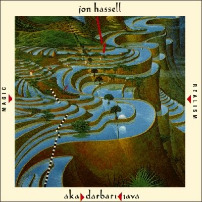 Couverture AKA DARBARI JAVA (MAGIC REALISM) de Jon HASSELL