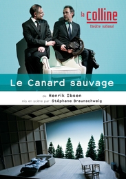 Image du média "LE CANARD SAUVAGE de Alexis de FAVITSKI"