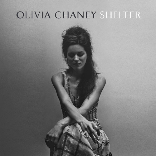 Couverture SHELTER de Olivia CHANEY