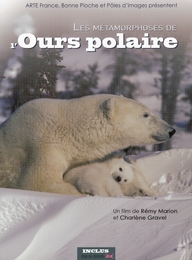 Image du média "LES MÉTAMORPHOSES DE L'OURS POLAIRE de Rémy MARION"