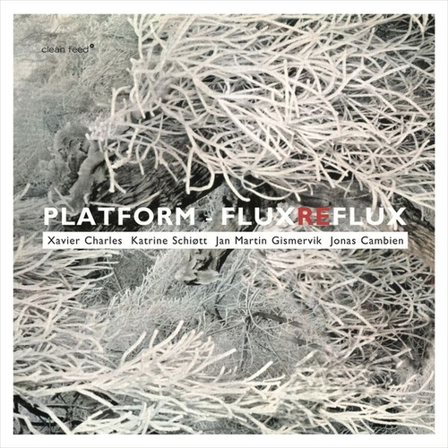 Couverture FLUXREFLUX de PLATFORM