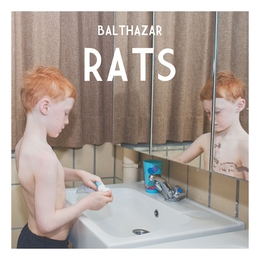 Image du média "RATS de BALTHAZAR"