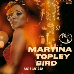 Image du média "THE BLUE GOD de Martina TOPLEY-BIRD"