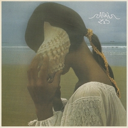 Image du média "ALLAH-LAS de ALLAH-LAS"