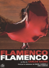 Image du média "FLAMENCO, FLAMENCO de Carlos SAURA"