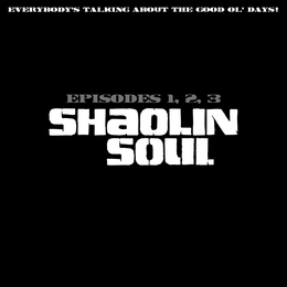 Image du média "SHAOLIN SOUL: EPISODES 1,2,3."