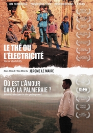 Image du média "LE THÉ OU L'ÉLECTRICITÉ / OÙ EST L'AMOUR DANS LA PALMERAIE ? de Jérôme LE MAIRE"