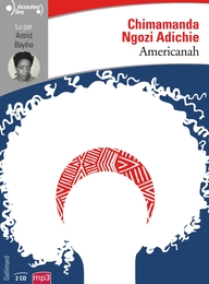 Image du média "AMERICANAH de CHIMAMANDA NGOZI ADICHIE"