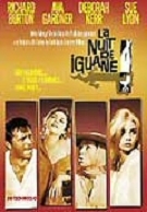 Image du média "LA NUIT DE L'IGUANE de John HUSTON"