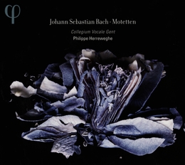 Image du média "MOTETTEN de Johann Sebastian BACH"