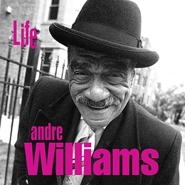 Image du média "LIFE de Andre WILLIAMS"