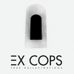 Image du média "THE TRUE HALLUCINATIONS de EX COPS"