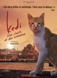 Image du média "KEDI - DES CHATS ET DES HOMMES de Ceyda TORUN"