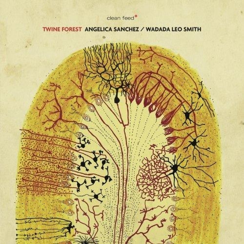 Couverture TWINE FOREST de Angelica SANCHEZ & WADADA LEO SMITH