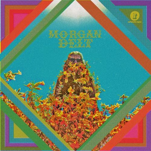 Couverture MORGAN DELT de Morgan DELT