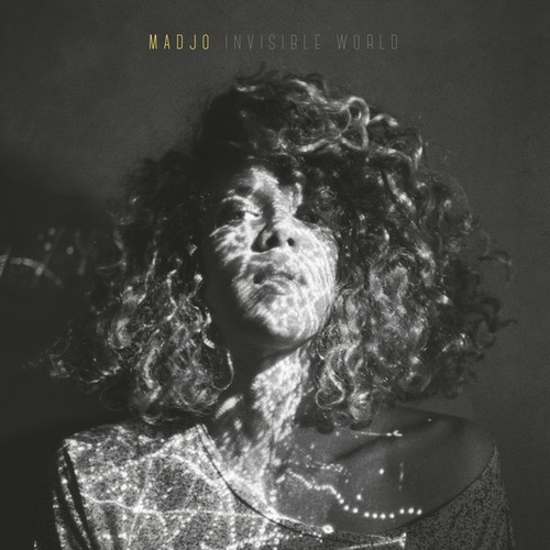 Couverture INVISIBLE WORLD de MADJO