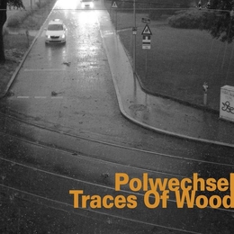 Image du média "TRACES OF WOOD de POLWECHSEL"