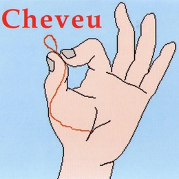 Image du média "CHEVEU de CHEVEU"