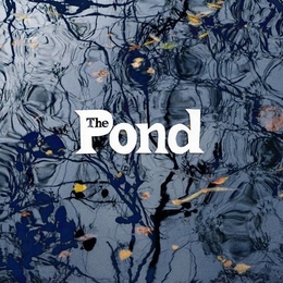 Image du média "THE POND de THE POND"