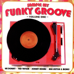 Image du média "SAMPLE MY FUNKY GROOVE (VOLUME ONE) de SOUL/RHYTHM AND BLUES"