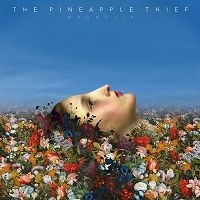 Image du média "MAGNOLIA de THE PINEAPPLE THIEF"