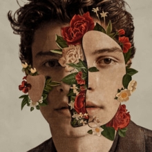 Image du média "SHAWN MENDES de Shawn MENDES"