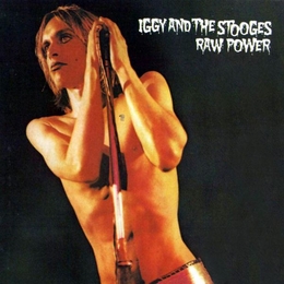 Image du média "RAW POWER de Iggy POP & THE STOOGES"