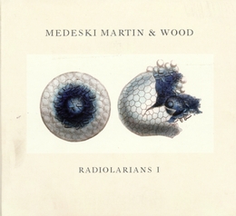 Image du média "RADIOLARIANS I de John MEDESKI, MARTIN & WOOD"