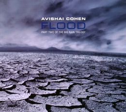 Image du média "FLOOD (PART TWO OF THE BIG RAIN TRILOGY) de Avishai COHEN."