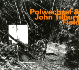 Image du média "FIELD de POLWECHSEL & JOHN TILBURY"