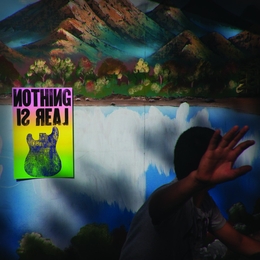 Image du média "NOTHING IS REAL de CRYSTAL ANTLERS"