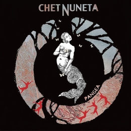 Image du média "PANGEA de CHET NUNETA"